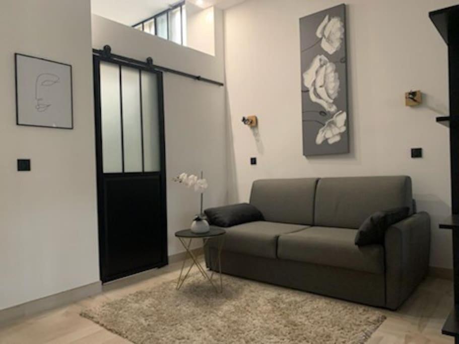 Studio Loft 40M2 De Charme Perpignan Exterior foto